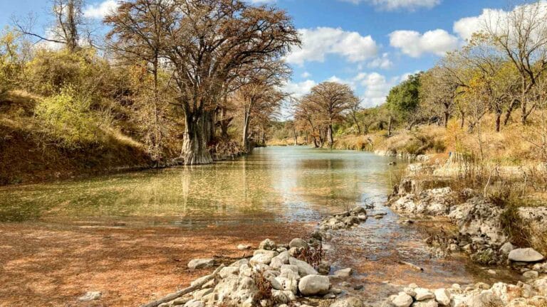 Los ríos más secos de Texas tuvieron el doble de producción y recambio de biomasa, aumentando la población de herbívoros y disminuyendo la de depredadores 2 Los ríos más secos de Texas tuvieron el doble de producción y recambio de biomasa, aumentando la población de herbívoros y disminuyendo la de depredadores