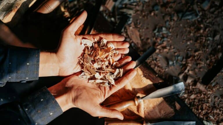 La FAO señala que el uso de madera sostenible en la edificación permite sustituir materiales de alta huella de carbono como el hormigón y el acero 2 La FAO señala que el uso de madera sostenible en la edificación permite sustituir materiales de alta huella de carbono como el hormigón y el acero