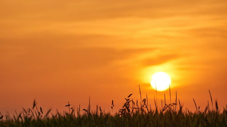 La UNDRR subraya que los impactos de las olas de calor trascienden el aumento de temperaturas y requieren una planificación integral de los riesgos