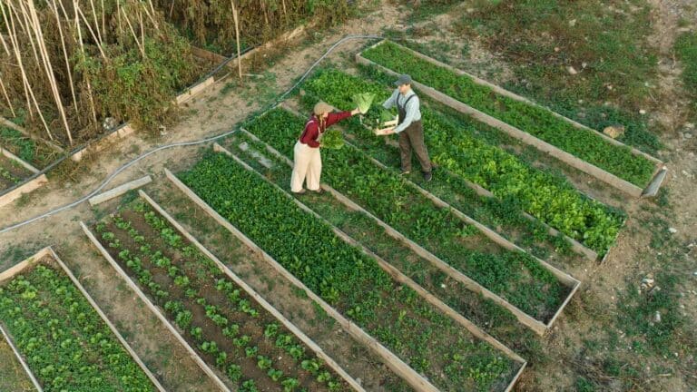 El Banco Mundial solicita financiar a los pequeños productores para garantizar la seguridad alimentaria global 2 El Banco Mundial solicita financiar a los pequeños productores para garantizar la seguridad alimentaria global