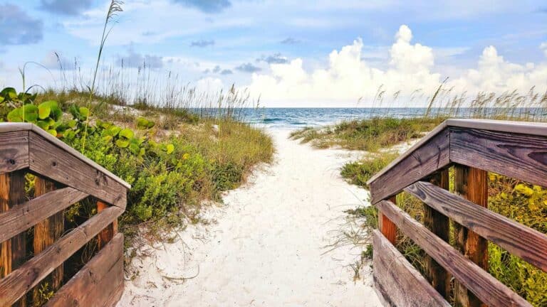 Red tide en Florida: cómo comprobar el estado de tu playa antes de ir este otoño 2 Red tide en Florida: cómo comprobar el estado de tu playa antes de ir este otoño