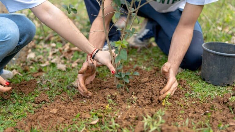 La ONU alerta sobre el retraso global en la protección de ecosistemas y la restauración de tierras 6 La ONU alerta sobre el retraso global en la protección de ecosistemas y la restauración de tierras