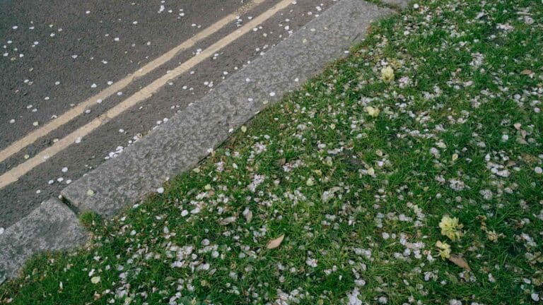 TWIA en Texas: qué cubre el seguro de viento y granizo y cuándo puede cerrarse la compra de una póliza