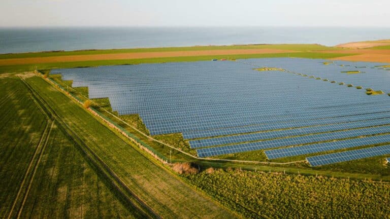 Tres agricultores consiguieron contratos de 10 años para cultivar alimentos entre los paneles de una planta solar de Minnesota y pagarán un dólar anual 3 Tres agricultores consiguieron contratos de 10 años para cultivar alimentos entre los paneles de una planta solar de Minnesota y pagarán un dólar anual