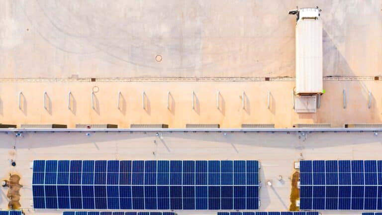 Un banco de alimentos de Carolina del Norte instaló 864 paneles solares para reducir gastos mientras las donaciones caen y la demanda alcanza niveles históricos