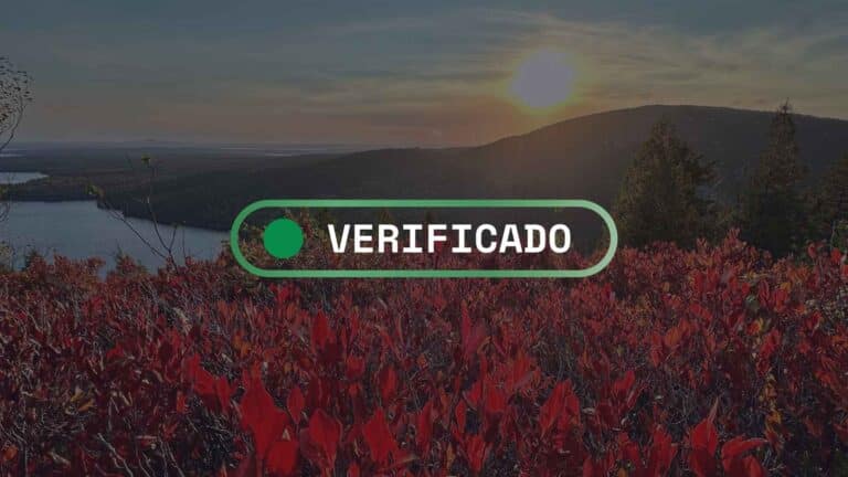 Fact-check: ¿Es verdad que el cambio climático extiende la temporada de alergias al polen en EE. UU.? 2 Fact-check: ¿Es verdad que el cambio climático extiende la temporada de alergias al polen en EE. UU.?