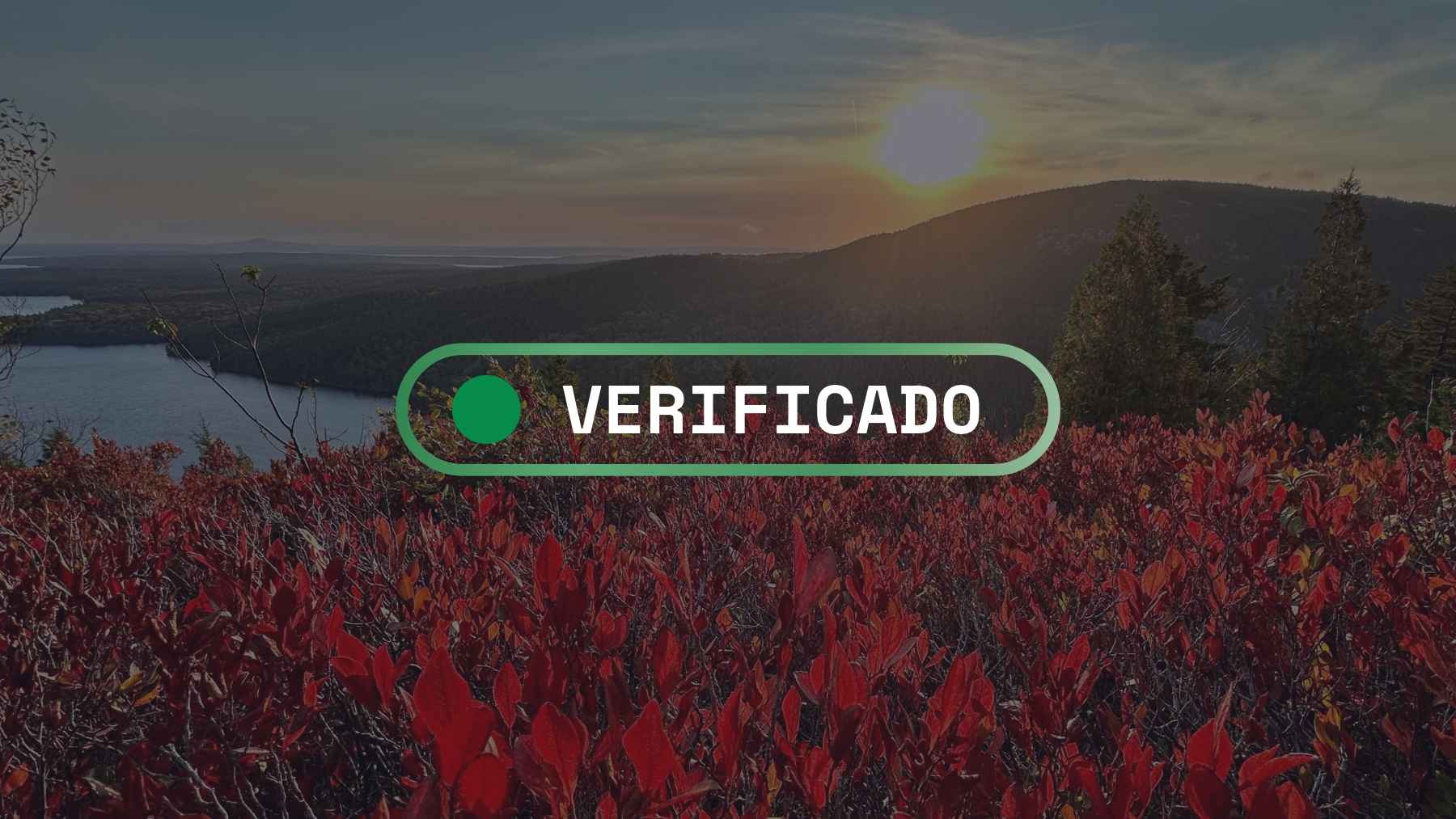 Fact-check: ¿Es verdad que el cambio climático extiende la temporada de alergias al polen en EE. UU.?
