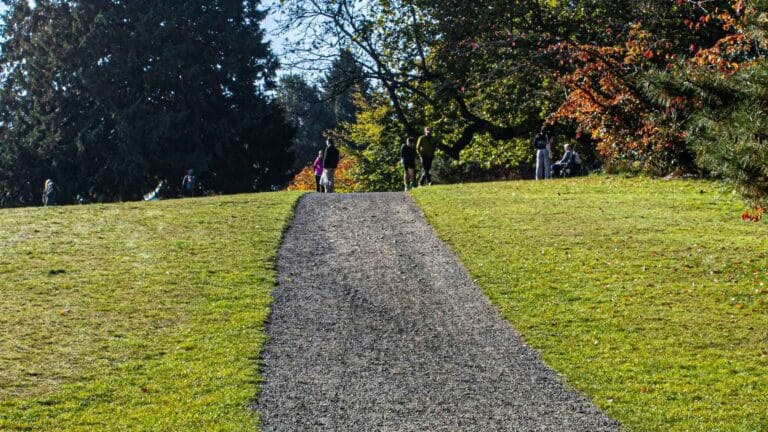 Un bosque de 300 acres cerca de Seattle tendrá senderos para ciclismo y caminata 18 Un bosque de 300 acres cerca de Seattle tendrá senderos para ciclismo y caminata