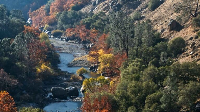 La Fiscalía de California defenderá el caudal del río Kern ante la Corte Suprema 10 La Fiscalía de California defenderá el caudal del río Kern ante la Corte Suprema