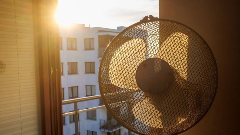 Una mujer murió seis días después de que le cortaran la electricidad durante una ola de calor en Arizona y ahora hay nuevas reglas para controlar las desconexiones por impago 2 Una mujer murió seis días después de que le cortaran la electricidad durante una ola de calor en Arizona y ahora hay nuevas reglas para controlar las desconexiones por impago