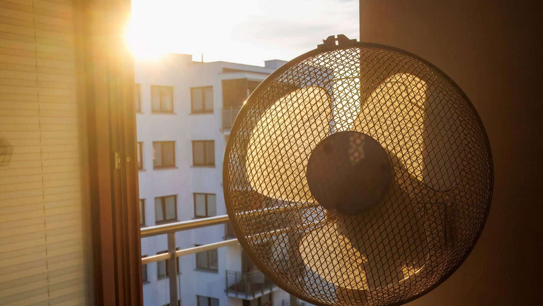 Una mujer murió seis días después de que le cortaran la electricidad durante una ola de calor en Arizona y ahora hay nuevas reglas para controlar las desconexiones por impago