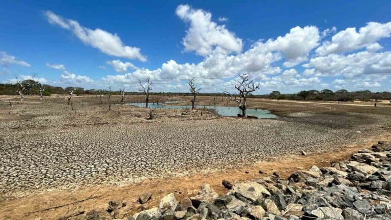 El Programa de las Naciones Unidas para el Medio Ambiente prevé que el calentamiento global superará los 1,5 °C a pesar de los esfuerzos internacionales