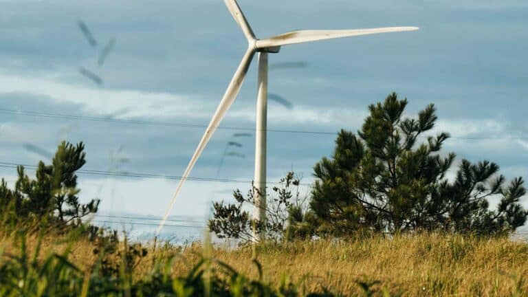 La Comisión Europea desmiente que la energía renovable compita con la agricultura por el suelo