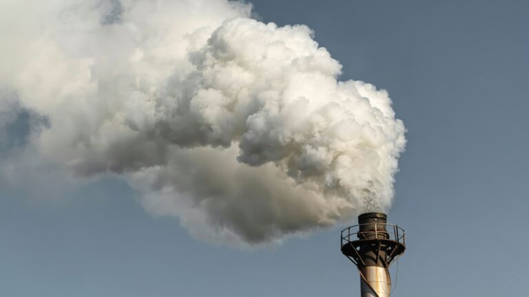 La ONU advierte que la propagación de sustancias químicas nocivas constituye una de las principales causas de enfermedades y deterioro ambiental a nivel global 2 La ONU advierte que la propagación de sustancias químicas nocivas constituye una de las principales causas de enfermedades y deterioro ambiental a nivel global