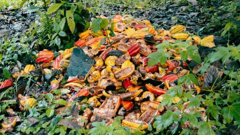 La EPA incorpora a una organización agrícola de Nueva Jersey a su red contra el desperdicio de alimentos 2 La EPA incorpora a una organización agrícola de Nueva Jersey a su red contra el desperdicio de alimentos
