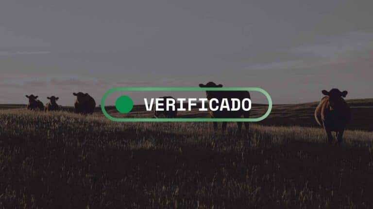 Fact-check: ¿Se está trabajando en una vacuna para que el ganado emita menos metano?