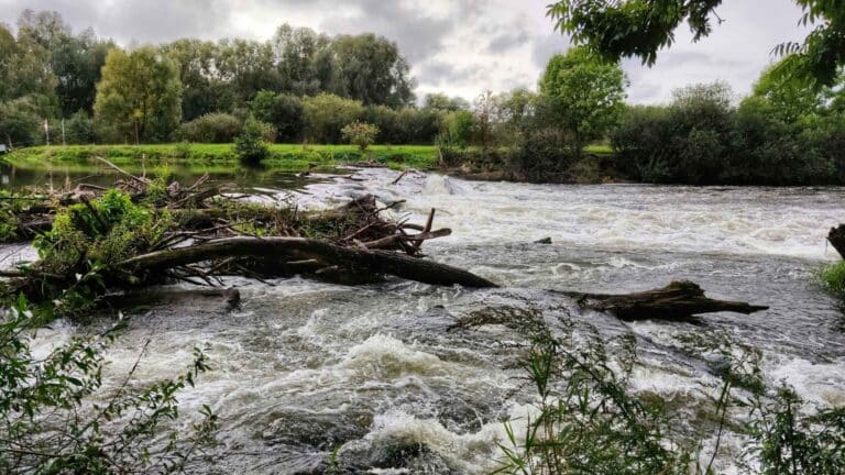 Florida lanza una alerta para conductores y residentes por posibles inundaciones a raíz de la crecida de los ríos 2 Florida lanza una alerta para conductores y residentes por posibles inundaciones a raíz de la crecida de los ríos