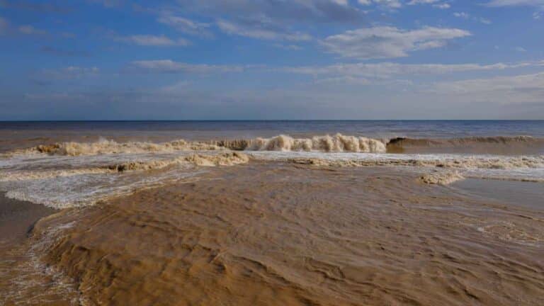 Florida lanza una alerta para la costa este por inundaciones y oleadas intensas durante el fin de semana 2 Florida lanza una alerta para la costa este por inundaciones y oleadas intensas durante el fin de semana