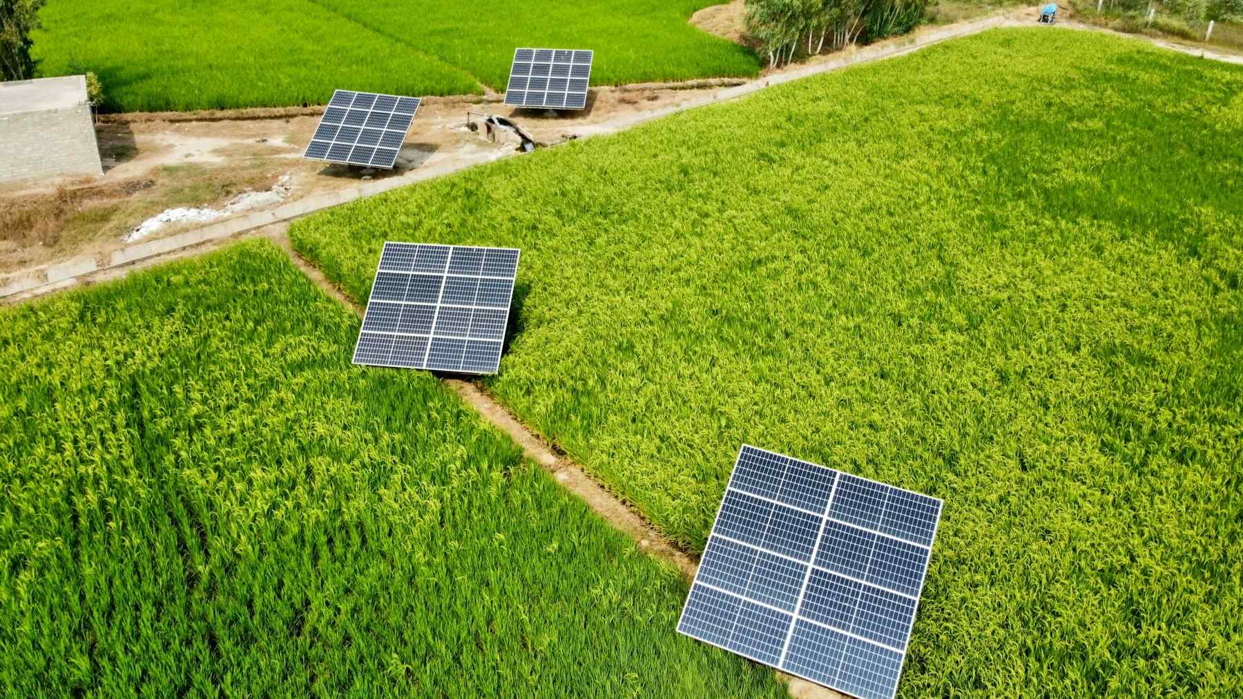 La coalición agrícola advierte que la nueva norma del USDA amenaza el acceso de agricultores a ayudas para energía limpia