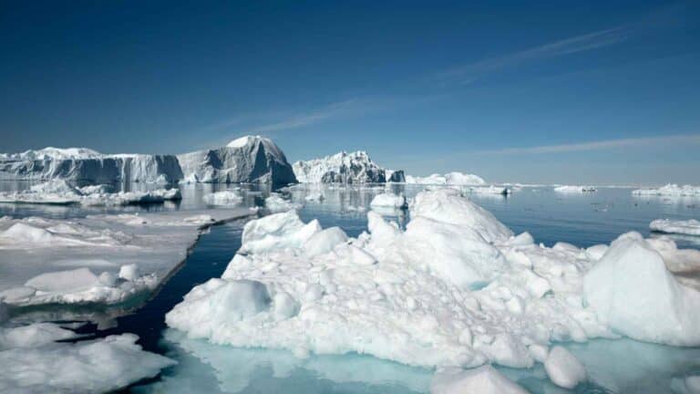 La extensión del hielo marino en la Antártida alcanza mínimos históricos y enciende las alarmas internacionales 21 La extensión del hielo marino en la Antártida alcanza mínimos históricos y enciende las alarmas internacionales