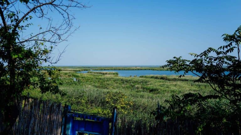 El USGS difunde un estudio sobre la recuperación del humedal del río Herring en Massachusetts 8 El USGS difunde un estudio sobre la recuperación del humedal del río Herring en Massachusetts