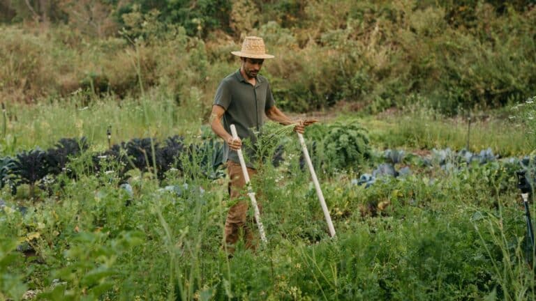 El Grupo del Banco Mundial promueve el programa AgriConnect para impulsar a 300 millones de pequeños agricultores