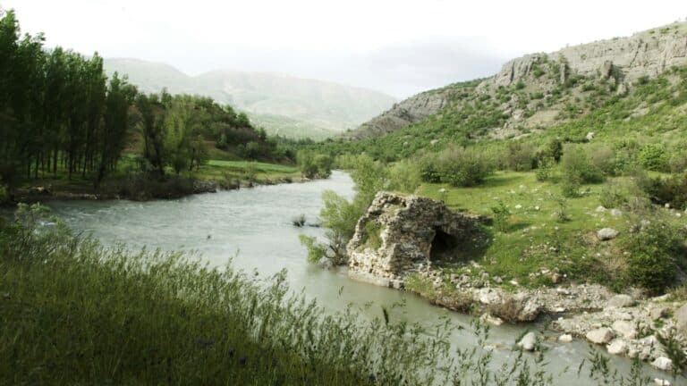 Alrededor de 1,6 millones de estadounidenses acompañan el reclamo de American Rivers para proteger la «Roadless Area Conservation Rule» 4 Alrededor de 1,6 millones de estadounidenses acompañan el reclamo de American Rivers para proteger la «Roadless Area Conservation Rule»