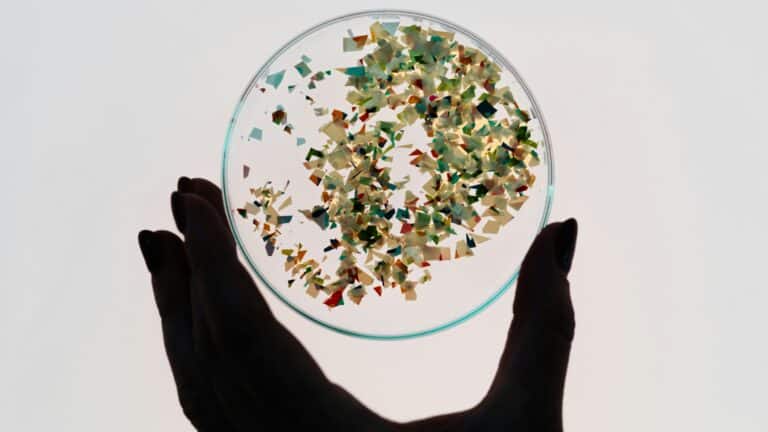 Nuevo estudio revela que el contacto entre los microplásticos y el agua genera partículas potencialmente nocivas para la salud humana 2 Nuevo estudio revela que el contacto entre los microplásticos y el agua genera partículas potencialmente nocivas para la salud humana