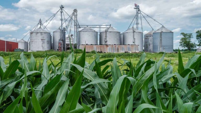 Illinois anuncia una financiación de US$17 millones para el Centro Nacional de Investigación de Maíz a Etanol 2 Illinois anuncia una financiación de US$17 millones para el Centro Nacional de Investigación de Maíz a Etanol