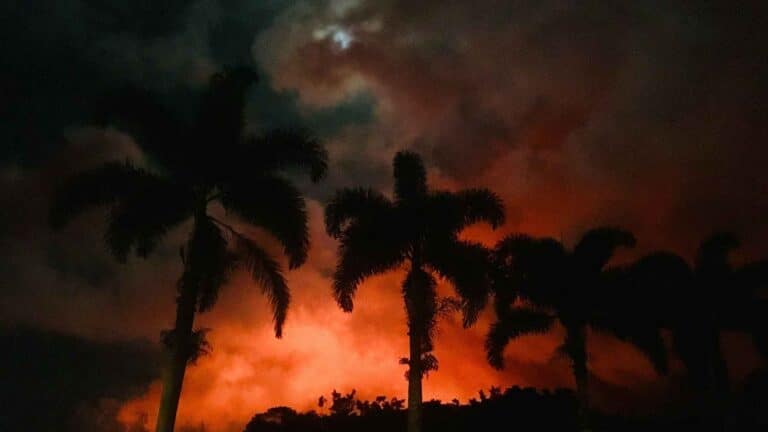 Un estudio vincula los metales tras los incendios de Maui con una peor salud pulmonar 2 Un estudio vincula los metales tras los incendios de Maui con una peor salud pulmonar