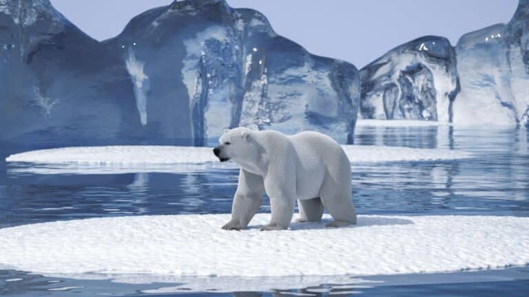 El PNUD alerta que más de un millón de especies están amenazadas y más de la mitad de la economía mundial depende de la naturaleza