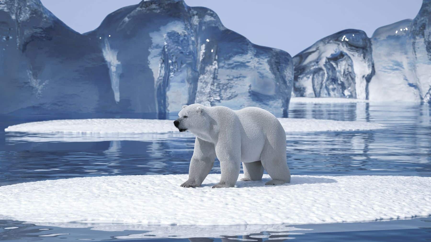 El PNUD alerta que más de un millón de especies están amenazadas y más de la mitad de la economía mundial depende de la naturaleza