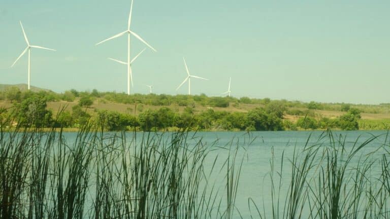 3 retos que la COP31 deberá abordar para acelerar la acción climática mundial