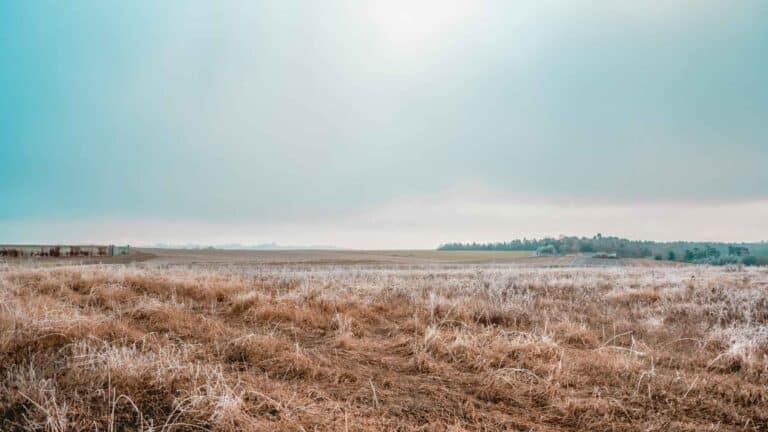 La ONU advierte sobre la peligrosa interconexión entre la guerra, El Niño y la inseguridad alimentaria