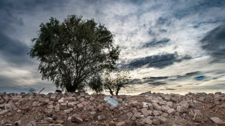 La ONU alerta sobre el impacto de El Niño en regiones azotadas por la guerra y el hambre