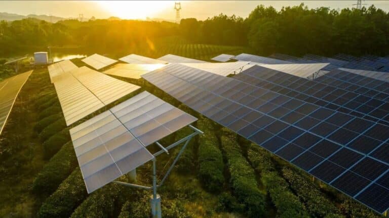 Durante una sequía en Francia probaron cultivos de cebada y maíz bajo paneles solares, uno perdió 20 % menos agua y el otro produjo un 19,6 % más