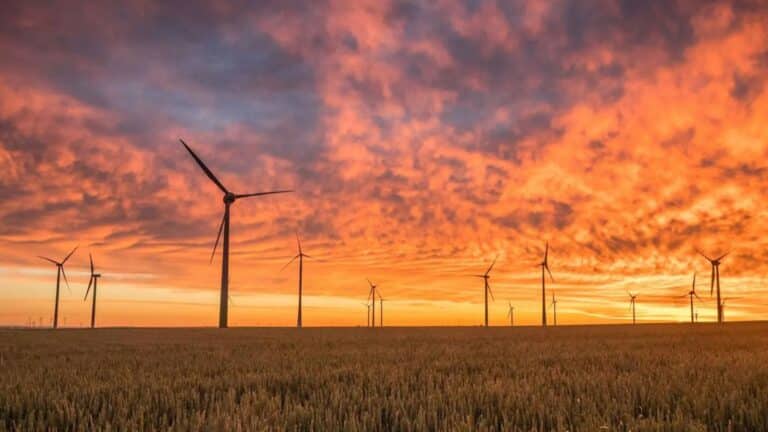 El mayor parque eólico de EE. UU. puso en marcha más de 900 turbinas tras casi dos décadas de permisos, demandas y modificaciones para proteger la fauna