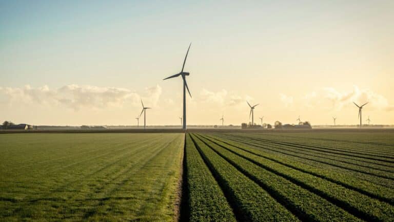 Demócratas y republicanos de EE. UU. apoyan incentivos para las fuentes limpias y la eficiencia energética 2 Demócratas y republicanos de EE. UU. apoyan incentivos para las fuentes limpias y la eficiencia energética