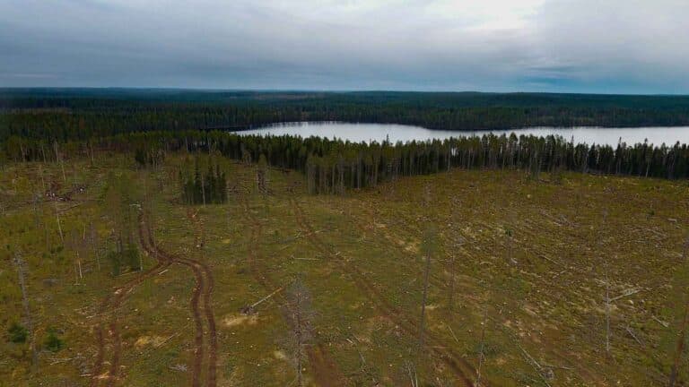 El PNUD advierte que la pérdida de biodiversidad tiene serias consecuencias para el desarrollo humano 2 El PNUD advierte que la pérdida de biodiversidad tiene serias consecuencias para el desarrollo humano