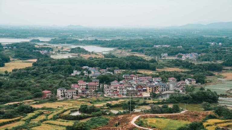 El PNUD remarca la importancia de avanzar hacia una transición justa para cuidar a las comunidades agrícolas del mundo 2 El PNUD remarca la importancia de avanzar hacia una transición justa para cuidar a las comunidades agrícolas del mundo
