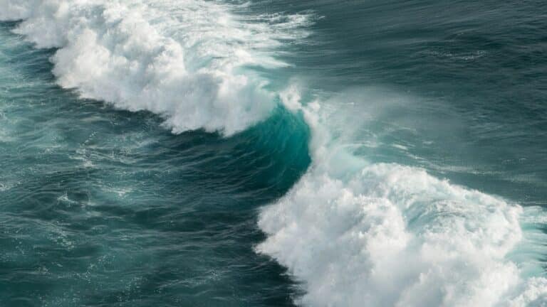 Ocean Conservancy advierte que los recortes al sistema de observación oceánica de EE. UU. ponen en riesgo el comercio y la seguridad costera 2 Ocean Conservancy advierte que los recortes al sistema de observación oceánica de EE. UU. ponen en riesgo el comercio y la seguridad costera