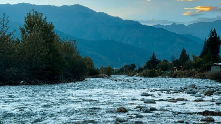 American Rivers señala riesgo para 80 000 millas de ríos por el debilitamiento de la protección forestal en EE. UU. 2 American Rivers señala riesgo para 80 000 millas de ríos por el debilitamiento de la protección forestal en EE. UU.