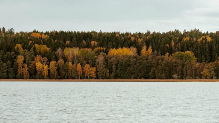 Big Bear Lake destinará US$88,6 millones al reciclaje de aguas residuales para recuperar reservas subterráneas