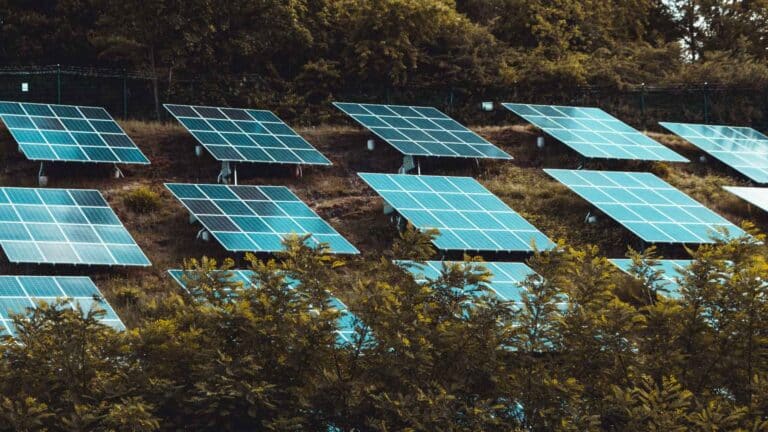California y Texas ahorraron más de US$6 mil millones en electricidad durante el verano gracias a la energía solar y los sistemas de almacenamiento 2 California y Texas ahorraron más de US$6 mil millones en electricidad durante el verano gracias a la energía solar y los sistemas de almacenamiento