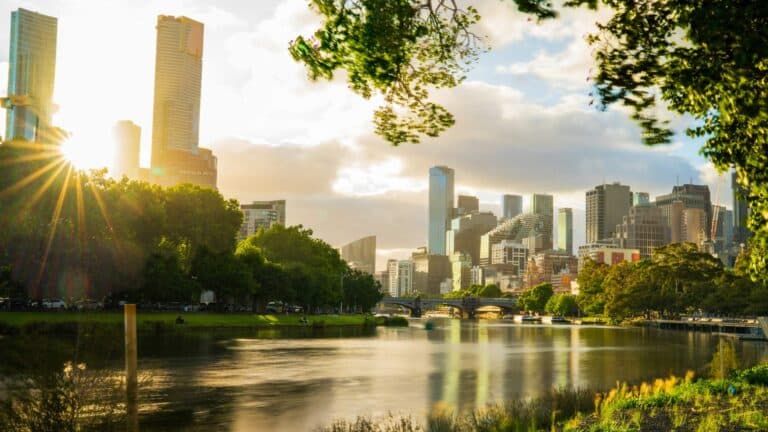 La FAO invita a las ciudades a sumarse a su Red de Ciudades Verdes, con herramientas y formación para hacerlas más saludables y resilientes 2 La FAO invita a las ciudades a sumarse a su Red de Ciudades Verdes, con herramientas y formación para hacerlas más saludables y resilientes