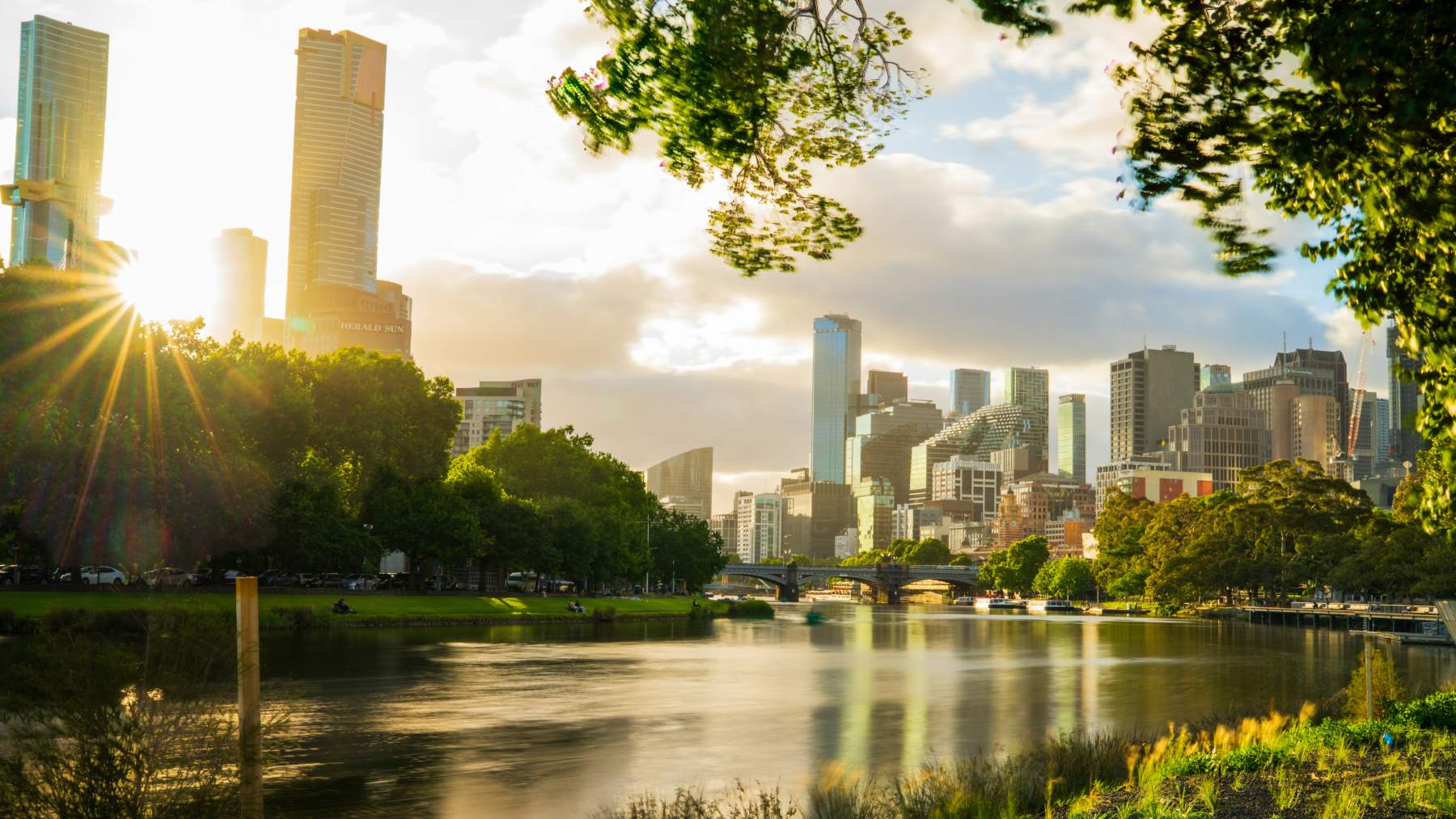 La FAO invita a las ciudades a sumarse a su Red de Ciudades Verdes, con herramientas y formación para hacerlas más saludables y resilientes