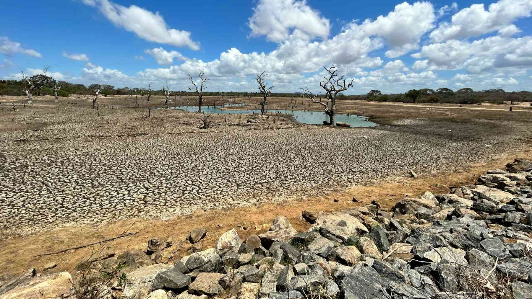 Los ríos más secos de Texas tuvieron el doble de producción y recambio de biomasa, aumentando la población de herbívoros y disminuyendo la de depredadores 2 Texas