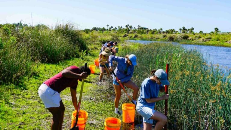 El PNUMA informa que 149 países se encuentran trabajando en la restauración de 252 millones de hectáreas de tierras degradadas