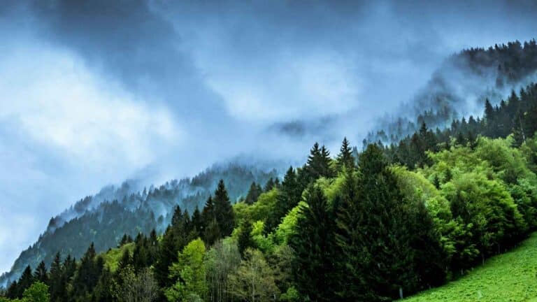 La UICN expone que el 43 % de los sitios naturales del Patrimonio Mundial están bajo alerta por el avance de la crisis climática 2 La UICN expone que el 43 % de los sitios naturales del Patrimonio Mundial están bajo alerta por el avance de la crisis climática