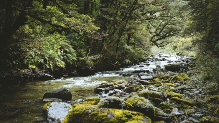 La UICN resalta la importancia de los sistemas de evaluación e información para la lucha climática 2 La UICN resalta la importancia de los sistemas de evaluación e información para la lucha climática